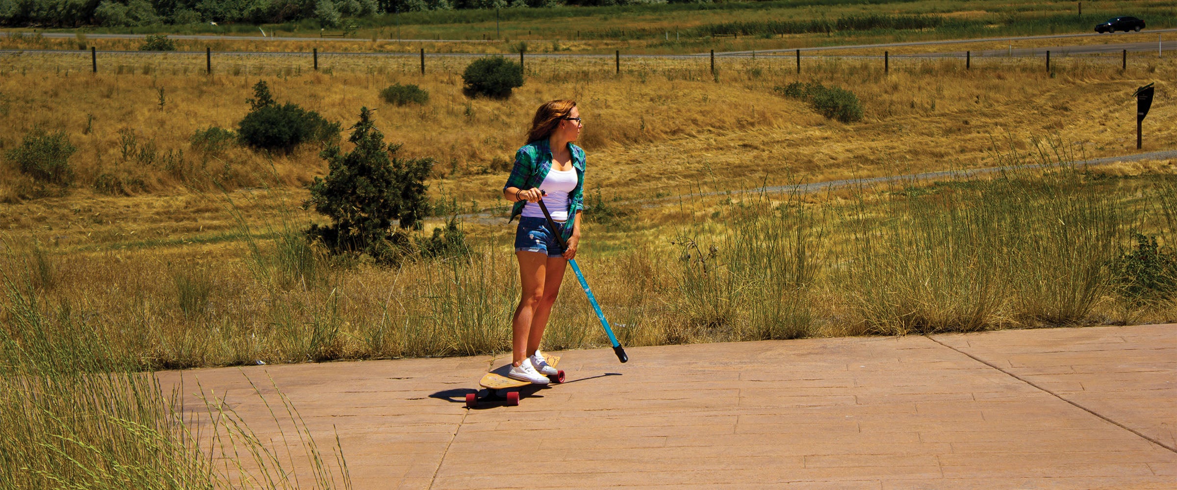 Cruiser Longboards